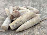 Natural Belemnite Rostrum Fossils x 2.4 Kg Lot From Madagascar