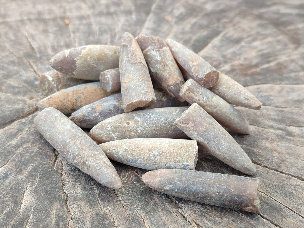 Natural Belemnite Rostrum Fossils x 2.4 Kg Lot From Madagascar - Toprock Gemstones and Minerals 