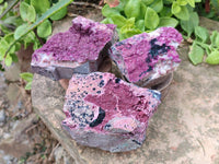 Natural Drusy Salrose on Dolomite Matrix Specimens x 6 From Kakanda, Congo