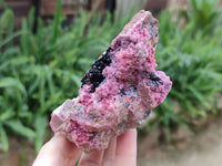 Natural Drusy Salrose on Dolomite Matrix Specimens x 6 From Kakanda, Congo