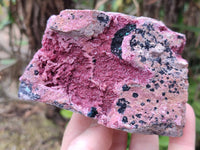 Natural Drusy Salrose on Dolomite Matrix Specimens x 6 From Kakanda, Congo