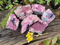 Natural Drusy Salrose on Dolomite Matrix Specimens x 6 From Kakanda, Congo