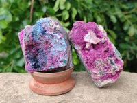 Natural Drusy Salrose on Dolomite Matrix Specimens x 6 From Kakanda, Congo