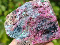Natural Drusy Salrose on Dolomite Matrix Specimens x 6 From Kakanda, Congo