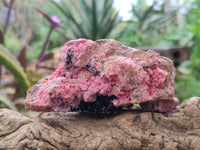 Natural Drusy Salrose on Dolomite Matrix Specimens x 6 From Kakanda, Congo