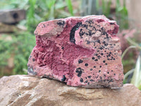 Natural Drusy Salrose on Dolomite Matrix Specimens x 6 From Kakanda, Congo