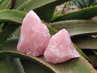 Natural Pink Rose Quartz Cobbed Specimens x 12 From North Cape, South Africa