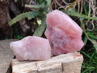 Natural Pink Rose Quartz Cobbed Specimens x 12 From North Cape, South Africa