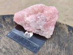 Natural Pink Rose Quartz Cobbed Specimens x 12 From North Cape, South Africa - Toprock Gemstones and Minerals 