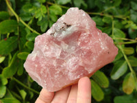 Natural Pink Rose Quartz Cobbed Specimens x 12 From North Cape, South Africa