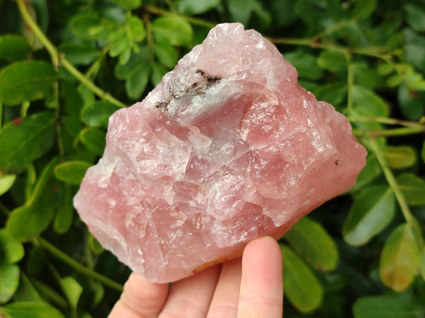 Natural Pink Rose Quartz Cobbed Specimens x 12 From North Cape, South Africa