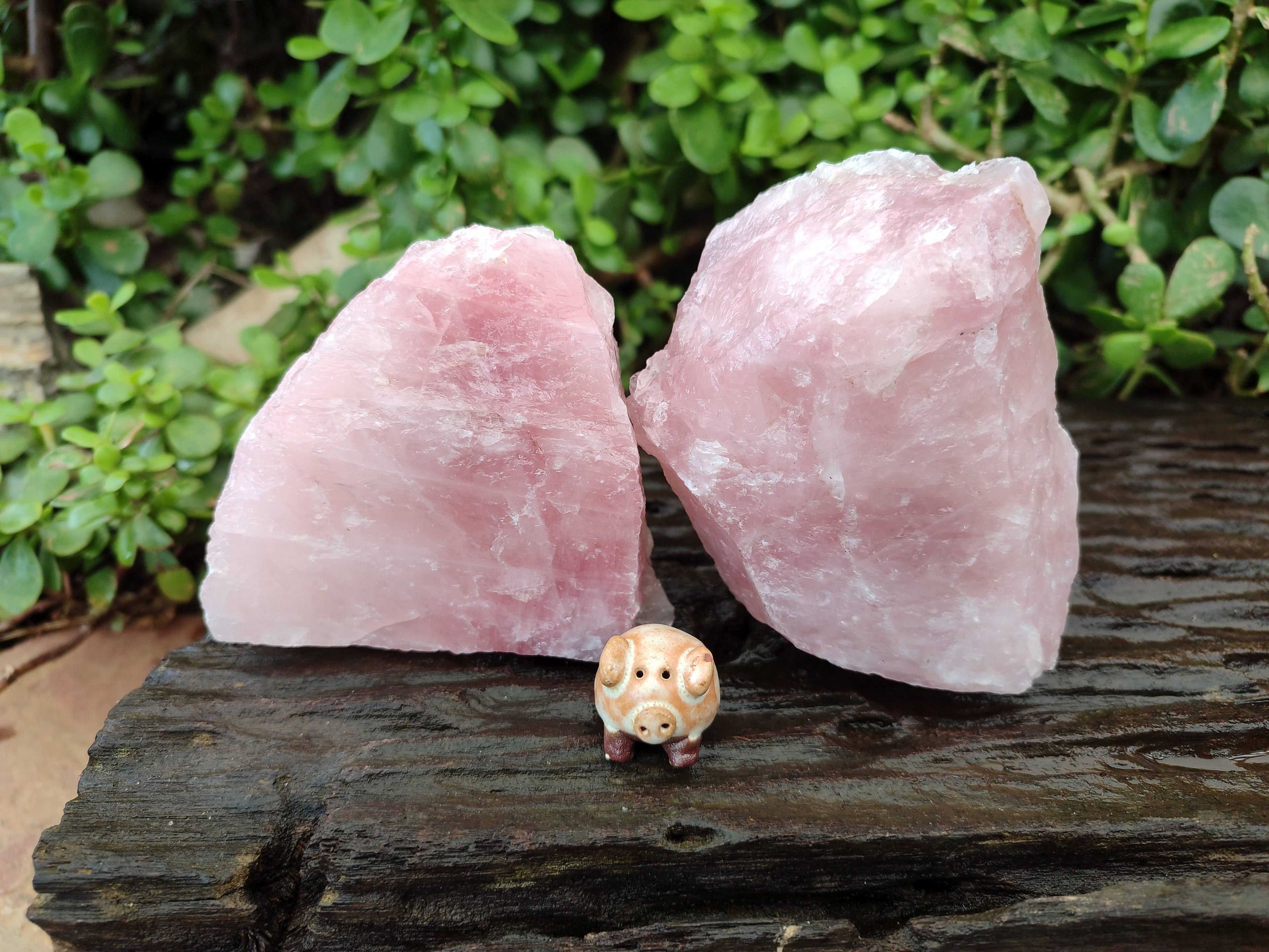 Natural Pink Rose Quartz Cobbed Specimens x 12 From North Cape, South Africa - Toprock Gemstones and Minerals 