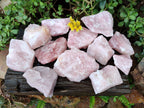 Natural Pink Rose Quartz Cobbed Specimens x 12 From North Cape, South Africa - Toprock Gemstones and Minerals 