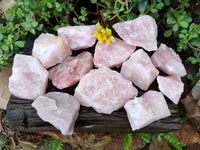 Natural Pink Rose Quartz Cobbed Specimens x 12 From North Cape, South Africa