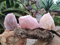 Natural Pink Rose Quartz Cobbed Specimens x 12 From North Cape, South Africa