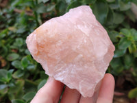 Natural Pink Rose Quartz Cobbed Specimens x 12 From North Cape, South Africa