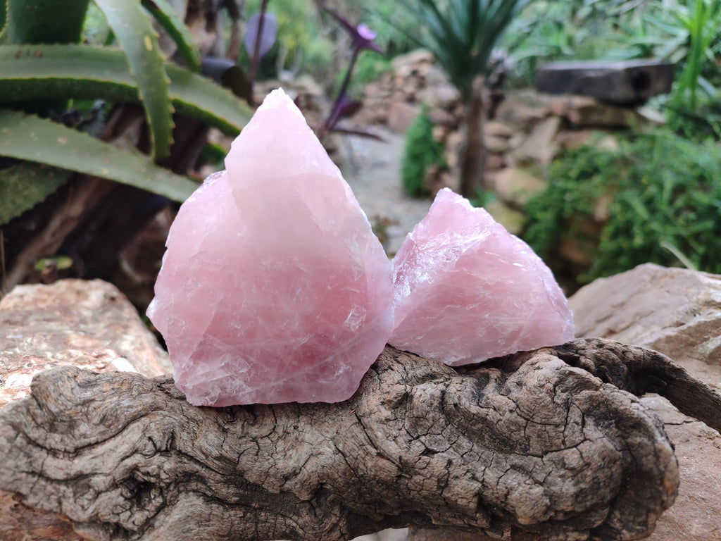 Natural Pink Rose Quartz Cobbed Specimens x 12 From North Cape, South Africa - Toprock Gemstones and Minerals 
