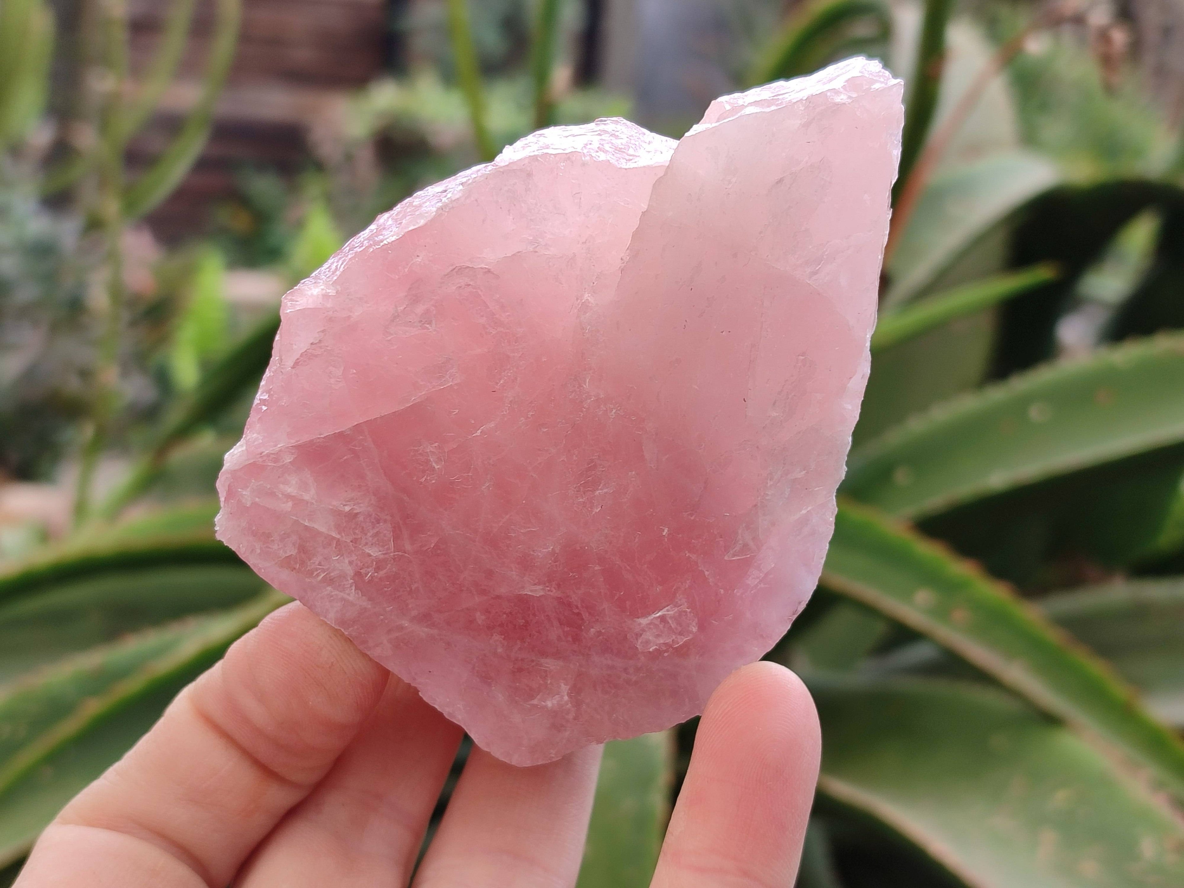 Natural Pink Rose Quartz Cobbed Specimens x 12 From North Cape, South Africa - Toprock Gemstones and Minerals 