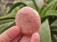 Polished Hematoid Quartz Palm Stones x 20 From Madagascar