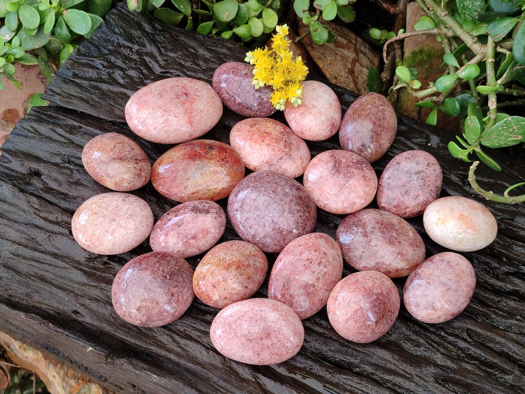 Polished Hematoid Quartz Palm Stones x 20 From Madagascar - Toprock Gemstones and Minerals 
