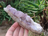Natural Amethyst Spirit Quartz Clusters x 6 From South Africa