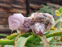 Natural Amethyst Spirit Quartz Clusters x 6 From South Africa
