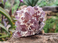 Natural Amethyst Spirit Quartz Clusters x 6 From South Africa