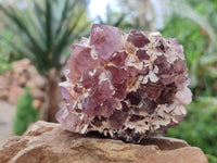 Natural Amethyst Spirit Quartz Clusters x 6 From South Africa