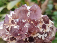 Natural Amethyst Spirit Quartz Clusters x 6 From South Africa