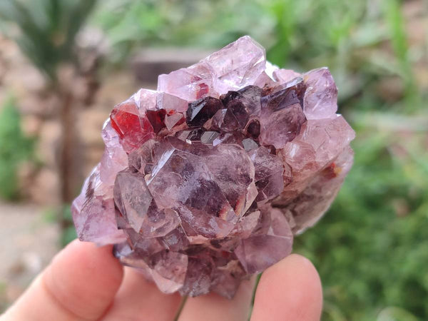 Natural Amethyst Spirit Quartz Clusters x 6 From South Africa