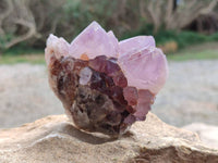 Natural Amethyst Spirit Quartz Clusters x 6 From South Africa