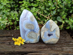 Polished Blue Lace Agate Standing Free Forms x 2 From Malawi - Toprock Gemstones and Minerals 