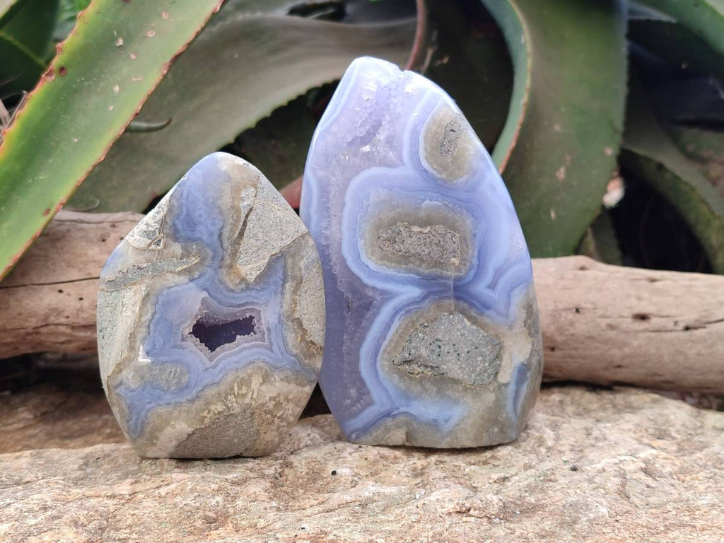 Polished Blue Lace Agate Standing Free Forms x 2 From Malawi - Toprock Gemstones and Minerals 