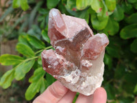 Natural Hematoid Quartz Crystals x 6 From Zimbabwe