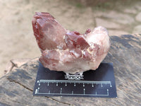 Natural Hematoid Quartz Crystals x 6 From Zimbabwe