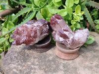 Natural Hematoid Quartz Crystals x 6 From Zimbabwe