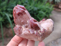 Natural Hematoid Quartz Crystals x 6 From Zimbabwe