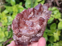 Natural Hematoid Quartz Crystals x 6 From Zimbabwe