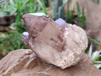 Natural Hematoid Quartz Crystals x 6 From Zimbabwe