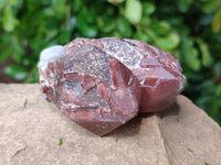 Natural Hematoid Quartz Crystals x 6 From Zimbabwe