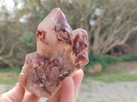 Natural Hematoid Quartz Crystals x 6 From Zimbabwe