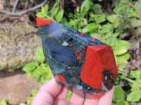 Polished Bloodstone Points x 3 From Swaziland