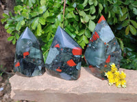 Polished Bloodstone Points x 3 From Swaziland