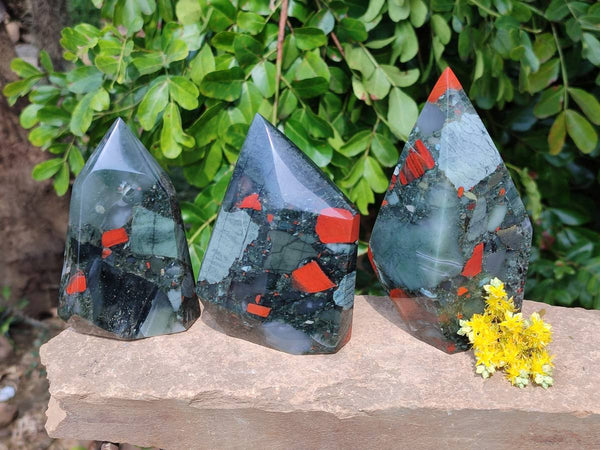 Polished Bloodstone Points x 3 From Swaziland