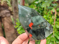 Polished Bloodstone Points x 3 From Swaziland
