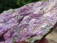 Natural Stichtite Specimens x 4  From Barberton, South Africa