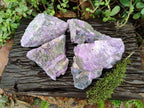 Natural Stichtite Specimens x 4  From Barberton, South Africa - Toprock Gemstones and Minerals 