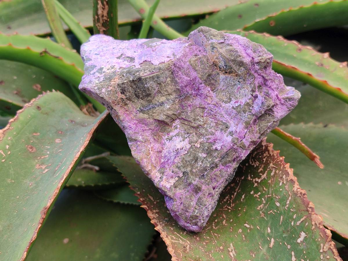 Natural Stichtite Specimens x 4  From Barberton, South Africa - Toprock Gemstones and Minerals 