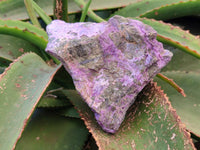 Natural Stichtite Specimens x 4  From Barberton, South Africa