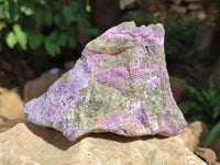 Natural Stichtite Specimens x 4  From Barberton, South Africa